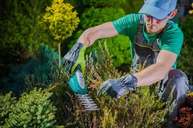 landscaping services Kalamazoo